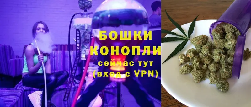 Шишки марихуана планчик  как найти   Новошахтинск 